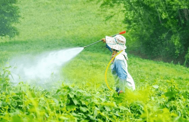 水性有機硅消泡劑應(yīng)用場景圖