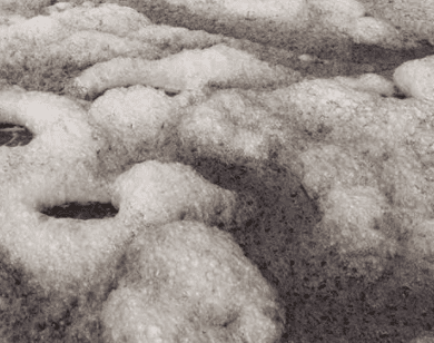 聚氨酯消泡劑應(yīng)用場(chǎng)景圖